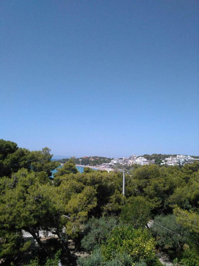 Comfortable Garden Apt Near Vouliagmeni Beach Athens Ngoại thất bức ảnh