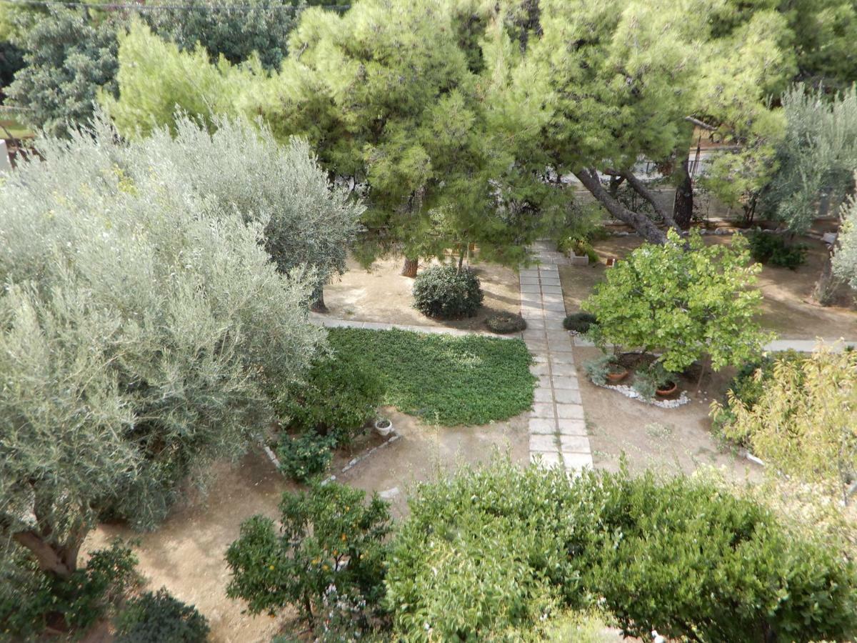 Comfortable Garden Apt Near Vouliagmeni Beach Athens Ngoại thất bức ảnh